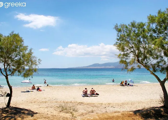 Gospodarstwo wiejskie Naxian Touch