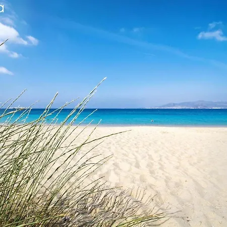 Naxian Touch